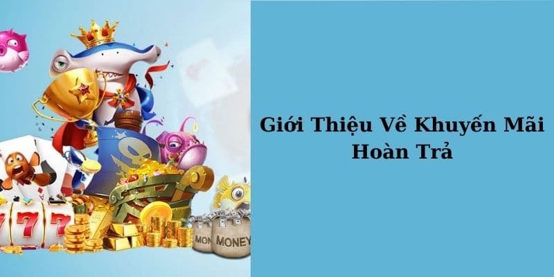 Khái niệm khuyến mãi hoàn trả 15% mỗi tuần cho mọi cược thua tại SHBET